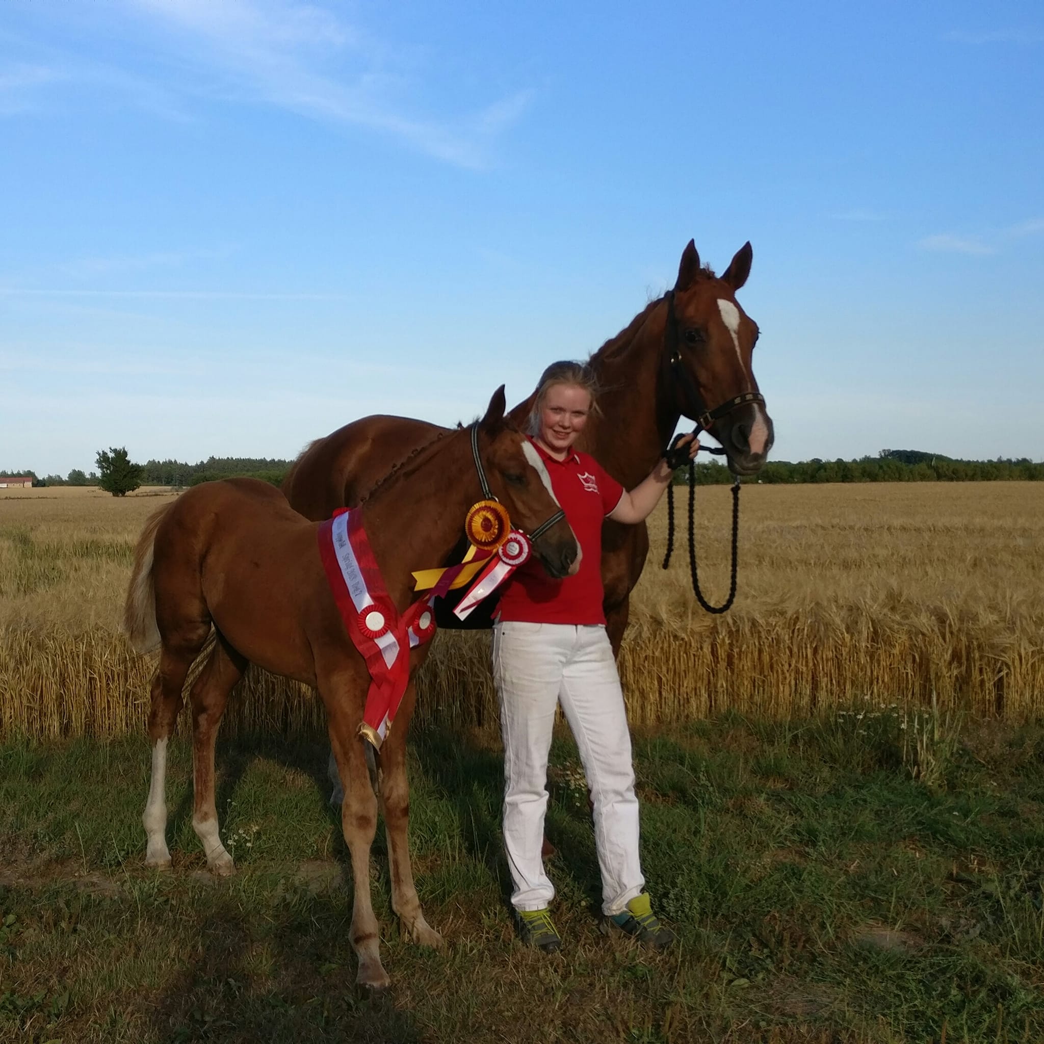 Ullerup´s Cassi bedste springhoppeføl region 7 2018
