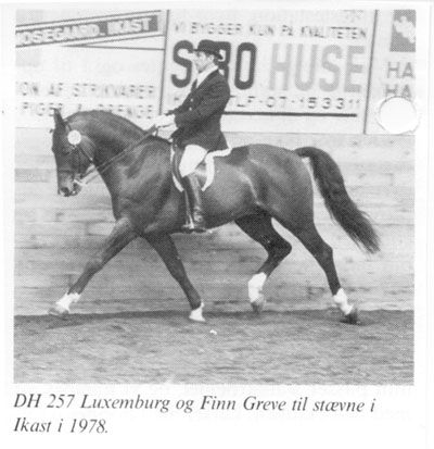 Luxemburg DH 257